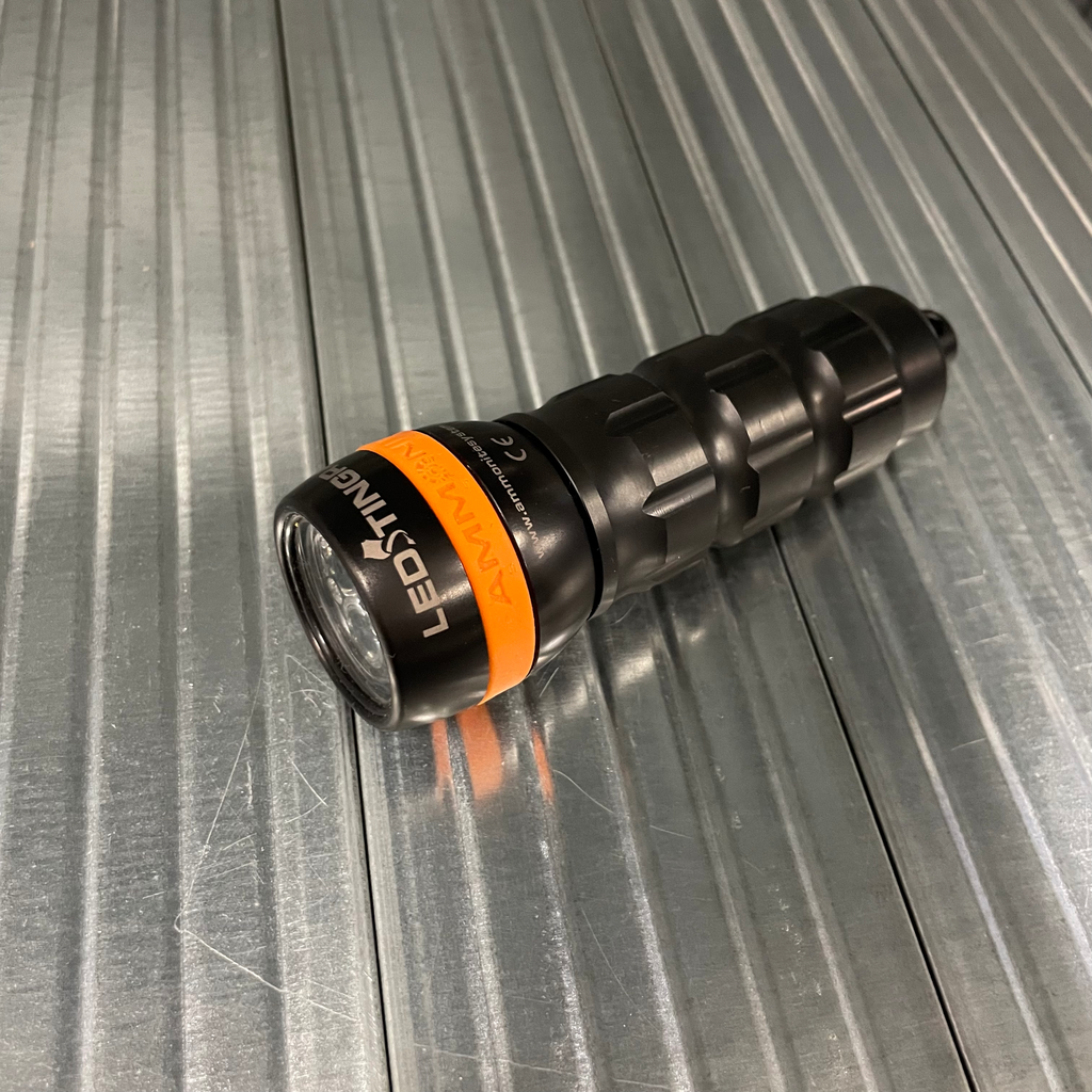 Ammonite led stingray (No box)