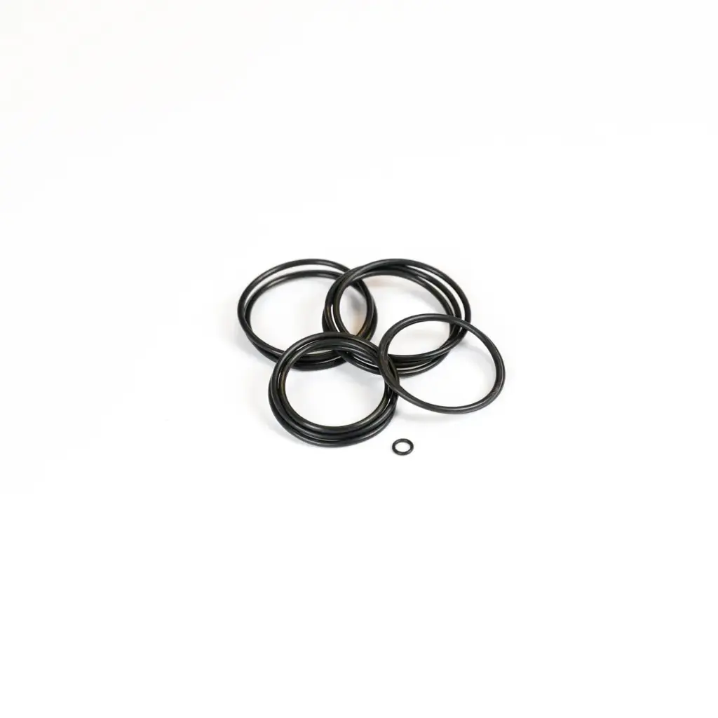 [2000-20] DSV O-Ring Kit