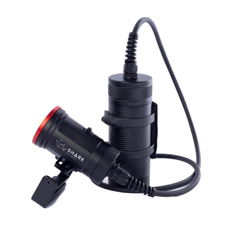 Shark Artemis Primary Light